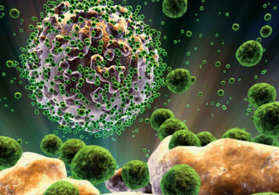 HIV, one of the 'Top 10 deadly viruses in the world' by China.org.cn.