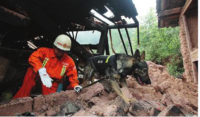 A rescue worker and tracker dog seek survivors among debris in Jinggu county, Yunnan province, on Wednesday. A magnitude-6.6 earthquake hit the county on Tuesday night, killing at least one person and leaving hundreds injured. [Photo/China Daily]