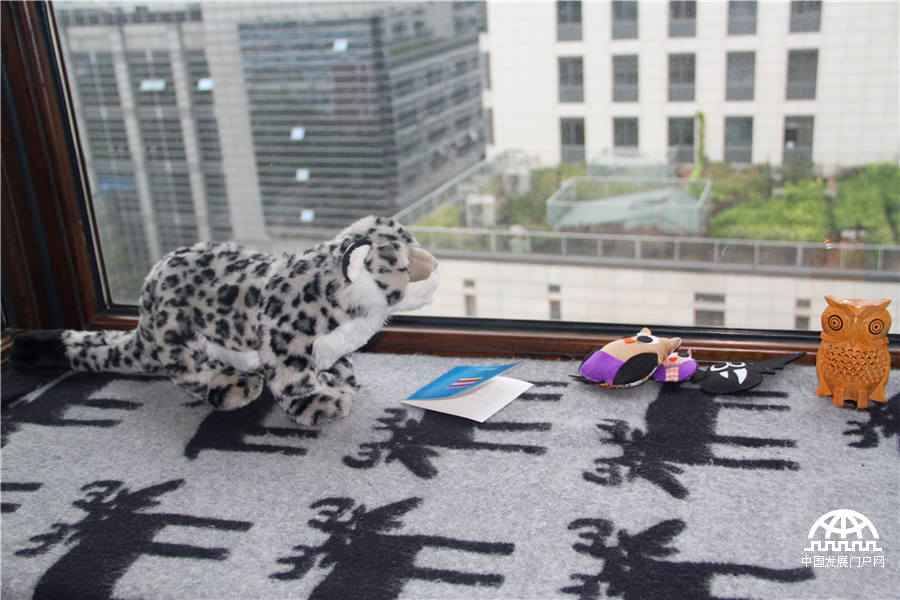 Terry loves birds, but we couldn’t find any signs of real birds outside of the books and recording equipment in his cozy apartment. There are no feathers or skeletons, let alone specimens of birds. 'Loving birds means observing and protecting, not possession,' Terry says. Photo by Wang Zhenhong