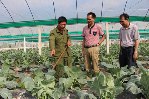 Pingnan puts efforts into rural poverty alleviation