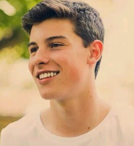 Shawn Mendes, one of the 'Top 10 most influential teens of 2014' by China.org.cn