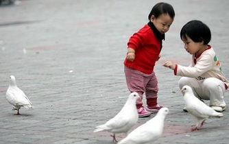 About 700,000 Chinese couples in which one of the partners is an only child applied to have a second child by the end of August, and 620,000 of them got a permit, the National Health and Family Planning Commission said on Wednesday.
