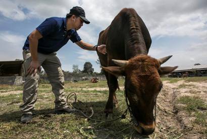 Introduction to Animal Welfare, the teaching material of animal welfare jointly compiled by the World Animal Protection and the Chinese Veterinary Medical Association (CVMA), was formally released last week. 