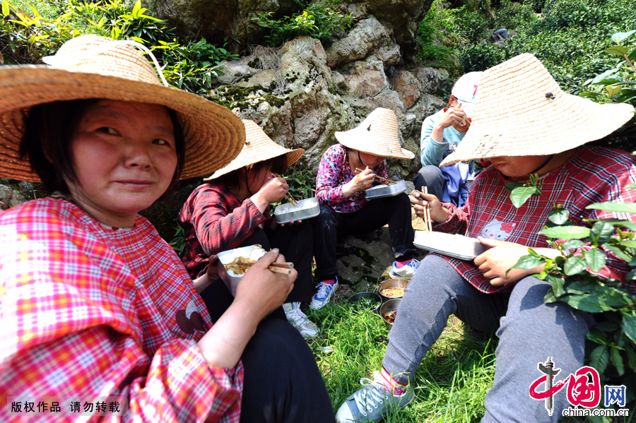 Mrs. Wang and her fellows come from Hubei Province to pick tea. During the days before Qingming Festival, they will start at 7 a.m. and finished at 5 p.m. They receive food and accommodation and a wage of 100 yuan each day.