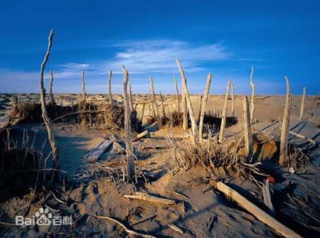 Lop Nor, one of the 'top 10 horrible tourist sites in China' by China.org.cn.
