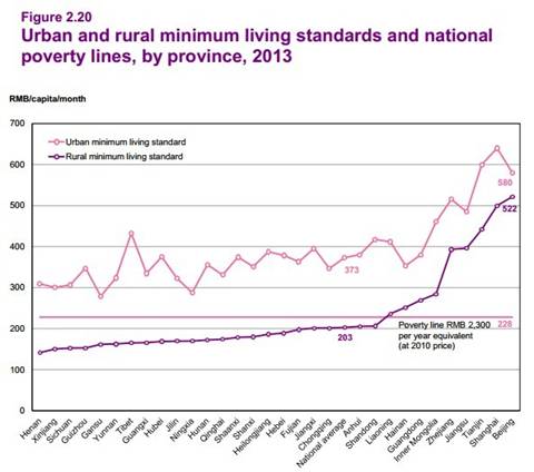 article 2_urban and rural minimum living standards and national poverty lines.jpg