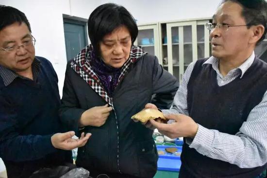 3月7日，李占扬（右一）和中科院古环境专家研究“许昌人”化石