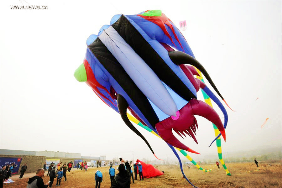 Kites fly in the sky during a kite competition in Weifang, East China's Shandong province, April 8, 2017.[Photo/Xinhua]