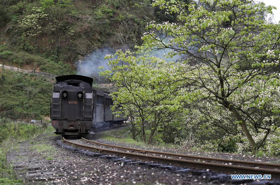 Scenery of Jiayang narrow gauge train in southwest China 
