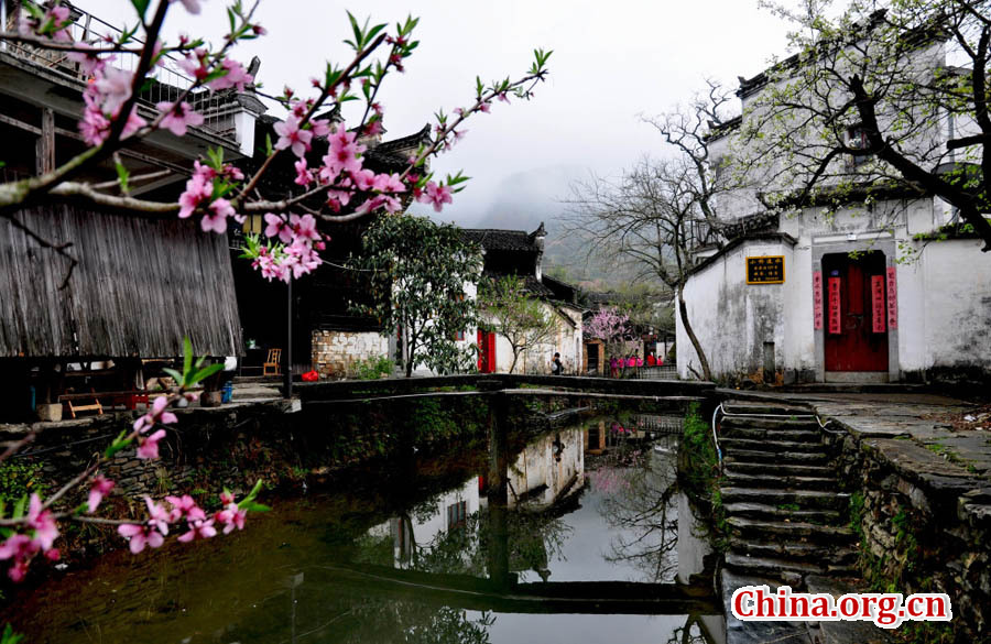 Beautiful spring scene - Wuyuan 
