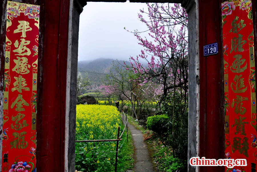 Beautiful spring scene - Wuyuan 