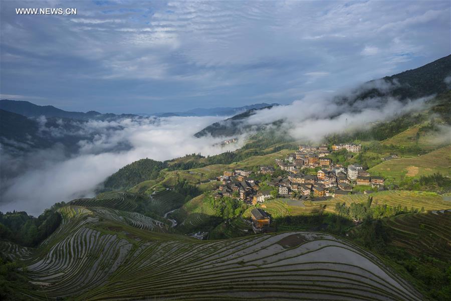 Terraces shrouded by clouds in south China's Guangxi 