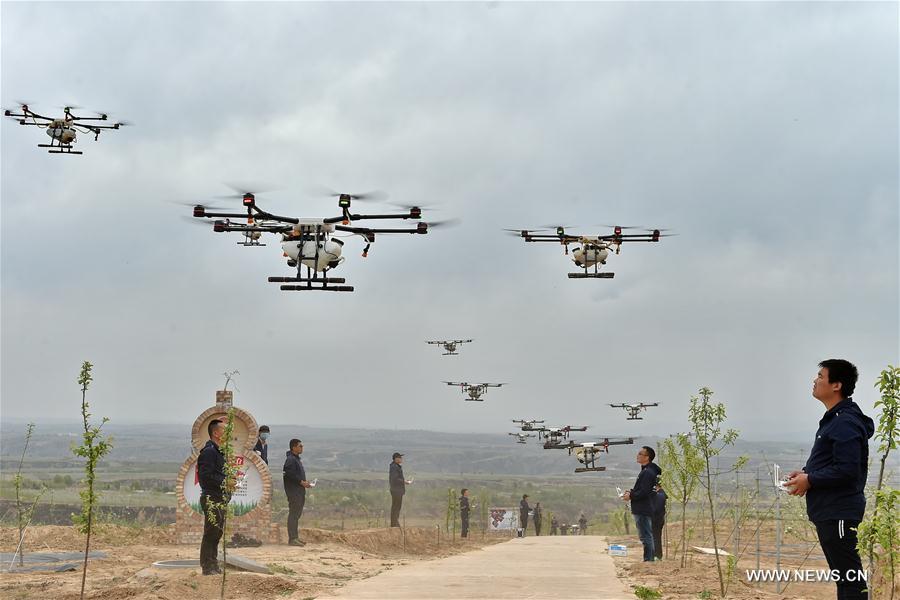People fly drones to spray pesticide in north China