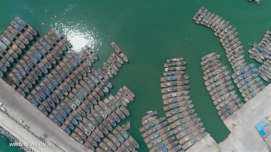 #Boats berthing as China starts summer fishing ban