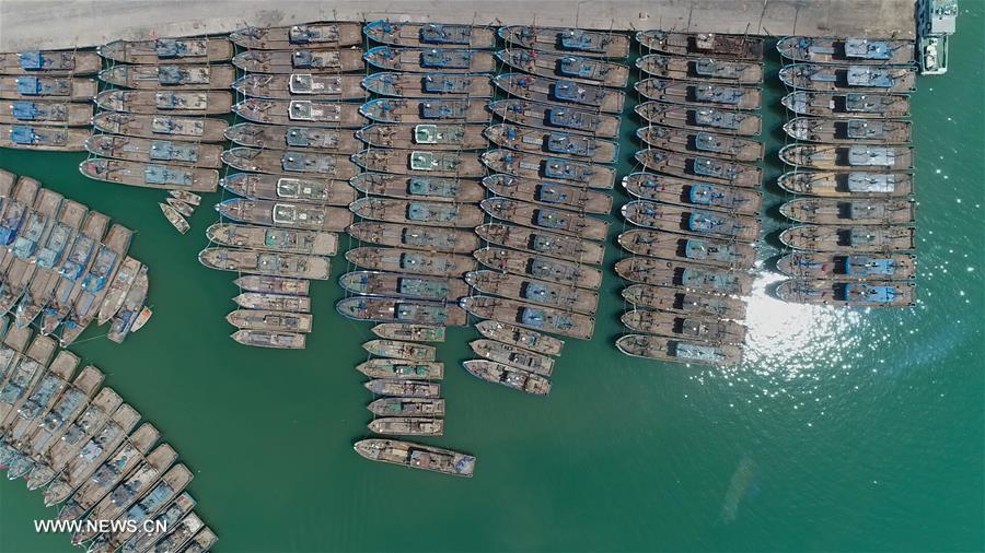 Boats berthing as China starts summer fishing ban