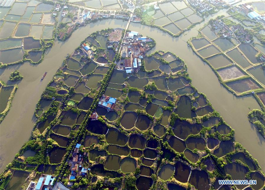 In pics: mulberry fish ponds in E China's Zhejiang 