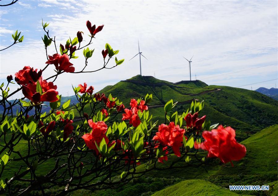 Wind power farms seen on Nanshan Mountain in China's Guangxi