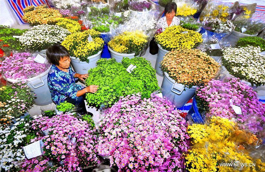 In pics: flowers, tea leaves harvested in Yiyuan County, E China