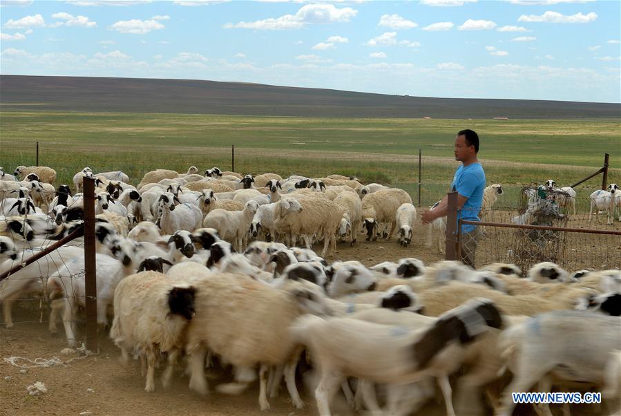 A glance at Inner Mongolia&apos;s better ecosystem