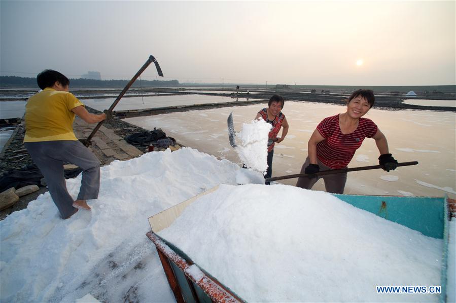 CHINA-FUJIAN-SALTWORKS (CN)