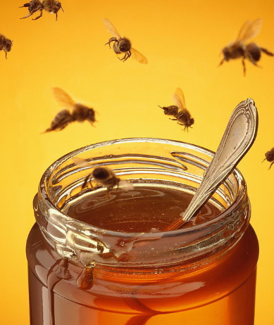 如何快速分辨真假土蜂蜜