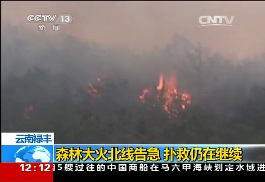 云南禄丰：森林大火北线告急 扑救仍在继续