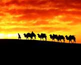 内蒙古风情——落日下的草原