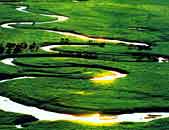 内蒙古风情——绿色草原风光