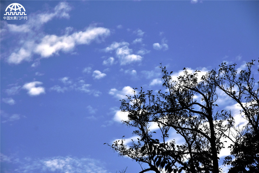 黄山秋天秋叶秋色秋景美成一幅画 黄山秋天秋叶秋色秋景美成一幅画