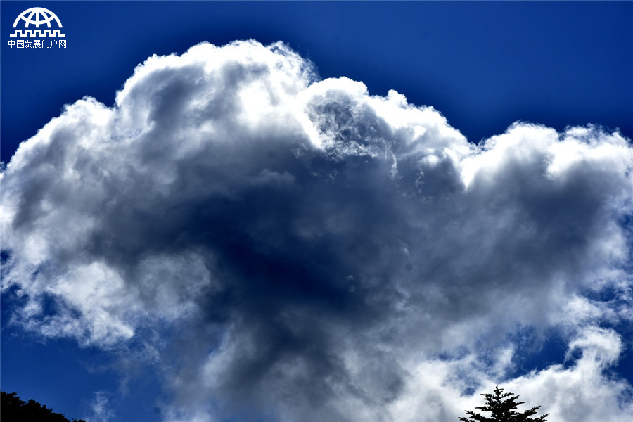 黄山秋天秋叶秋色秋景美成一幅画 黄山秋天秋叶秋色秋景美成一幅画