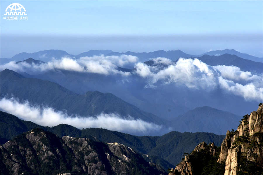 秋叶红果，生长在黄山悬崖边上的秋日风景