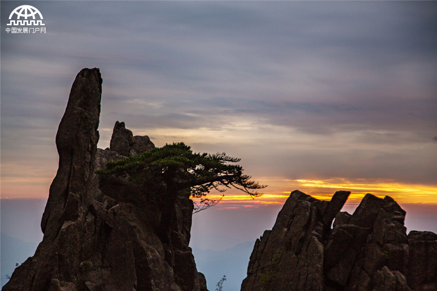 黄山：蓝天白云和桂花香 这样的秋日美景别错过