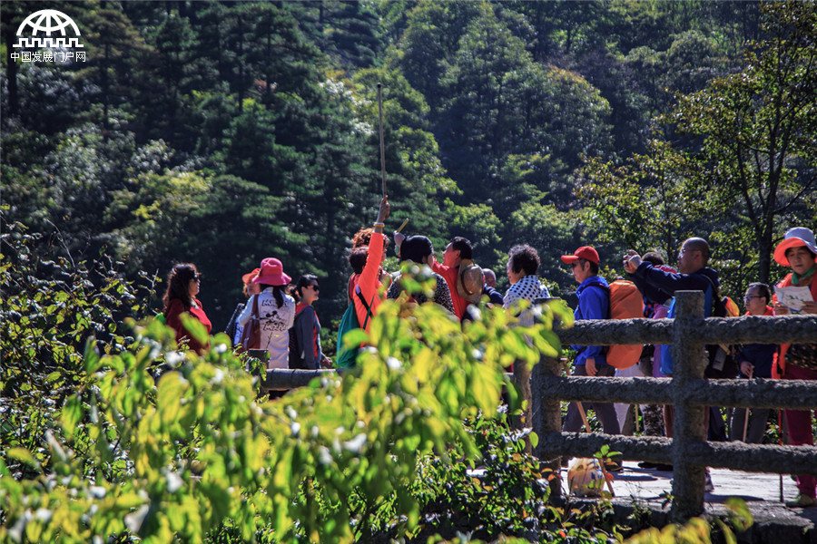 黄山：蓝天白云和桂花香 这样的秋日美景别错过