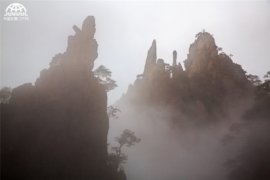 雨后黃山：云霧在山峰間游走 像畫家潑墨