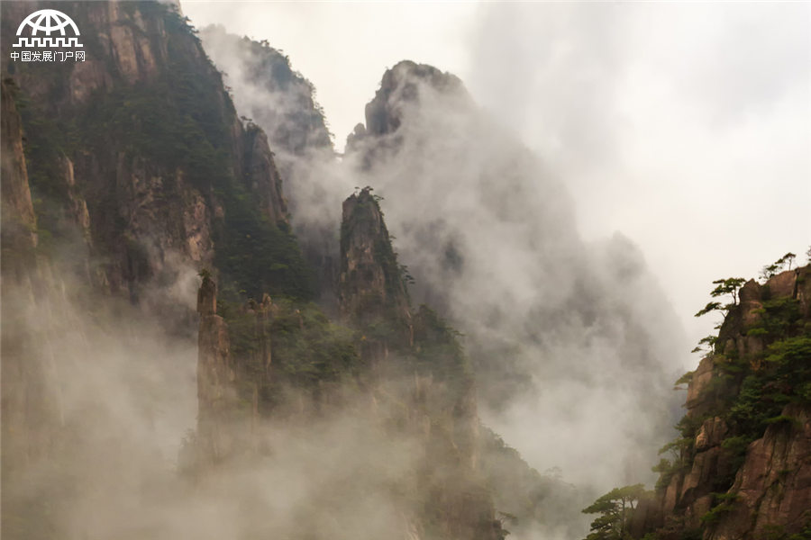 雨后黃山：云霧在山峰間游走 像畫家潑墨