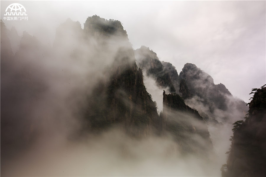 雨后黃山：云霧在山峰間游走 像畫家潑墨