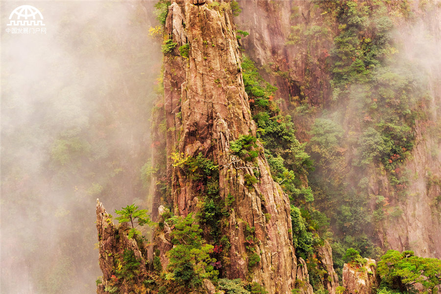 雨后黃山：云霧在山峰間游走 像畫家潑墨