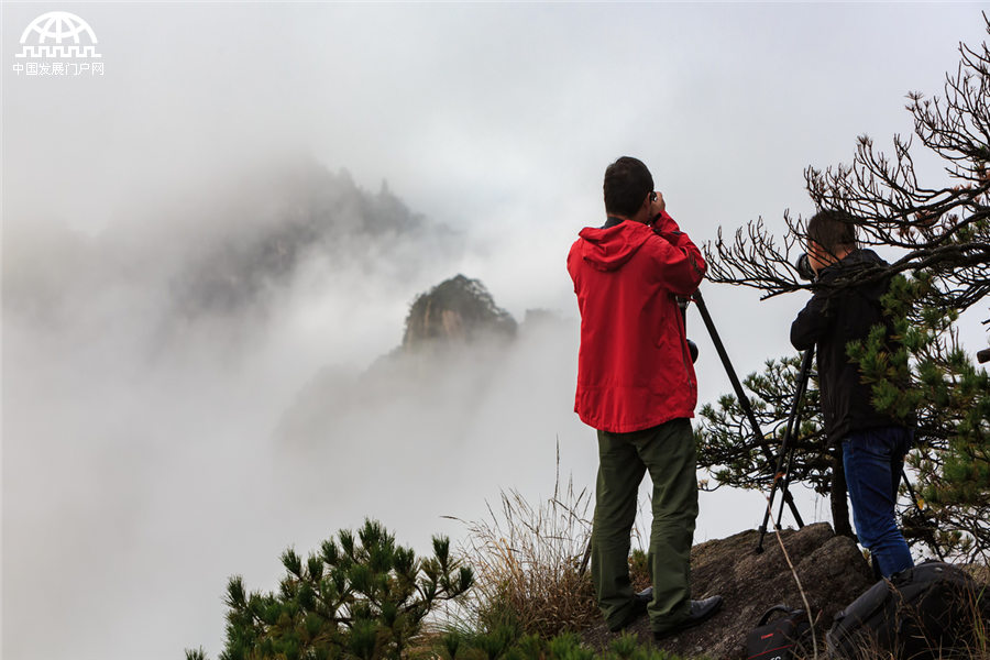 雨后黃山：云霧在山峰間游走 像畫家潑墨