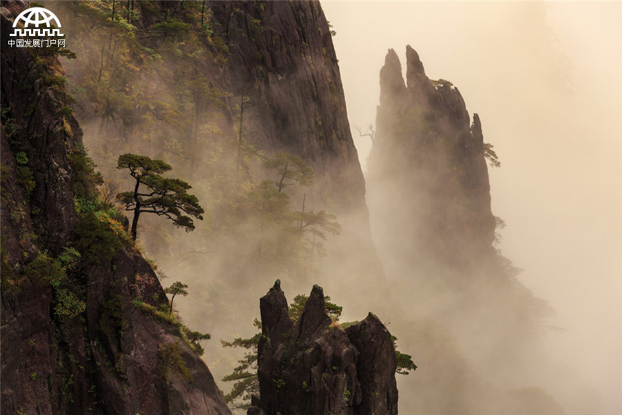 雨后黃山：云霧在山峰間游走 像畫家潑墨