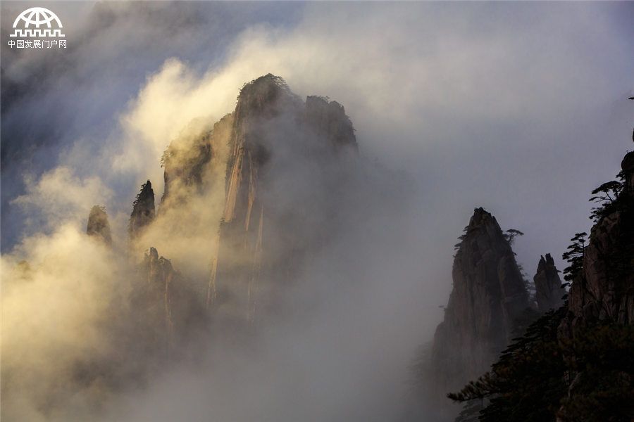 雨后黃山：云霧在山峰間游走 像畫家潑墨