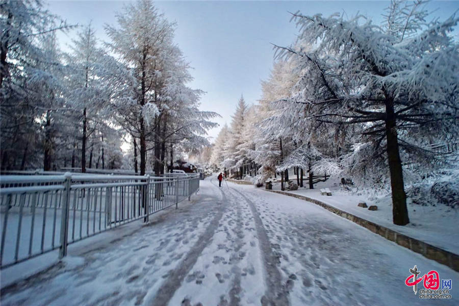 距离北京200公里的河北涞源白石山迎来了第一场雪，雪的厚度达到20公分。中国网图片中心 殷子健 摄