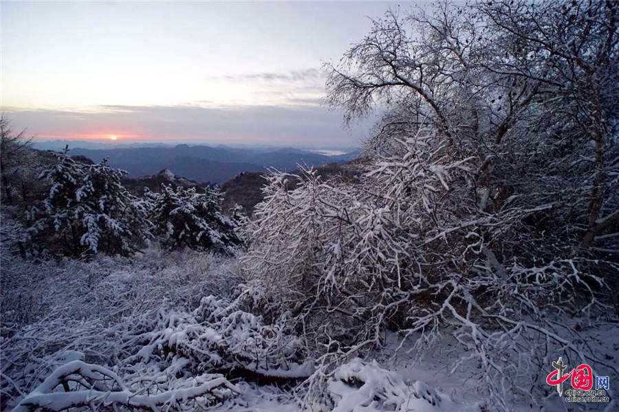 距离北京200公里的河北涞源白石山迎来了第一场雪，雪的厚度达到20公分。中国网图片中心 殷子健 摄