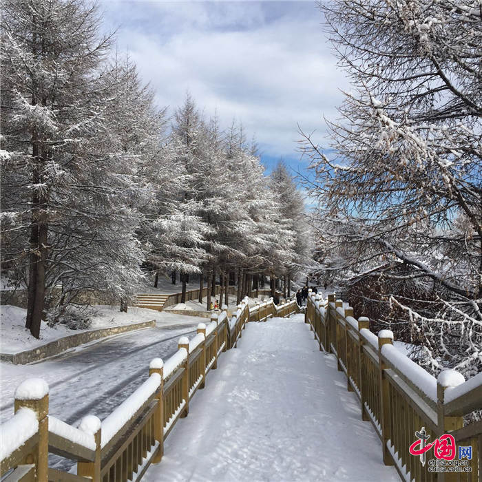 距离北京200公里的河北涞源白石山迎来了第一场雪，雪的厚度达到20公分。中国网图片中心 殷子健 摄