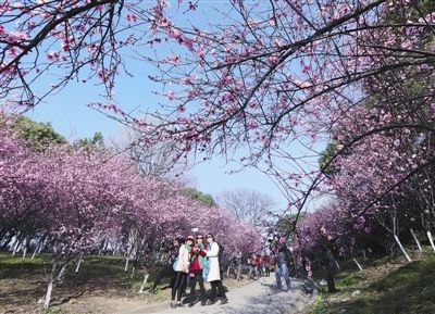 '三八妇女节'即将来临 江西众多景区送免费游礼包