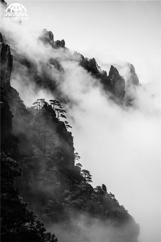 黄山:有一种惊艳叫山峦峡谷升腾起袅袅的云烟