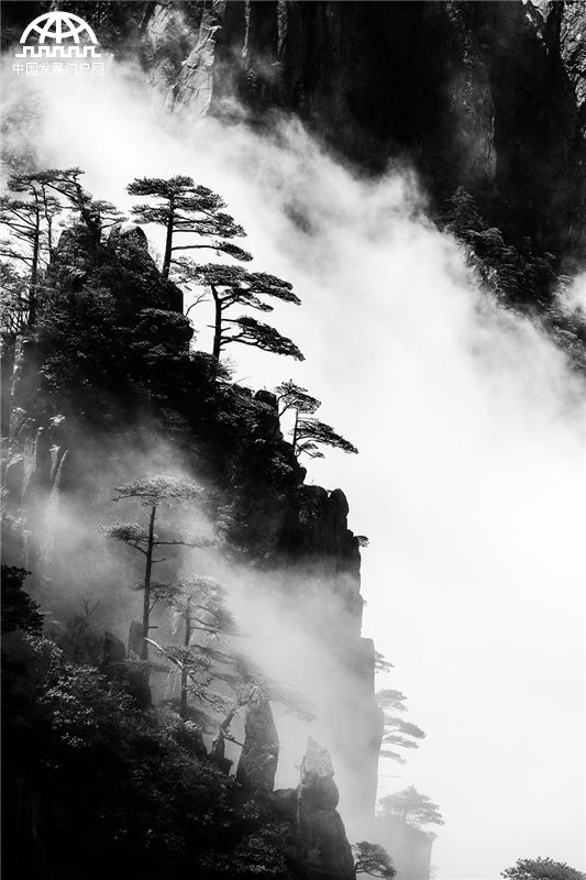 黄山:有一种惊艳叫山峦峡谷升腾起袅袅的云烟