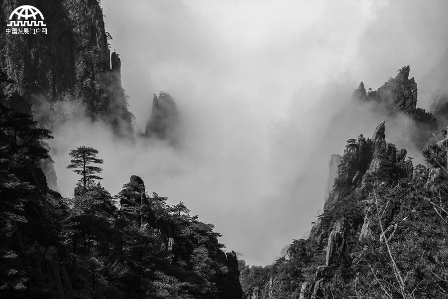 黄山:有一种惊艳叫山峦峡谷升腾起袅袅的云烟