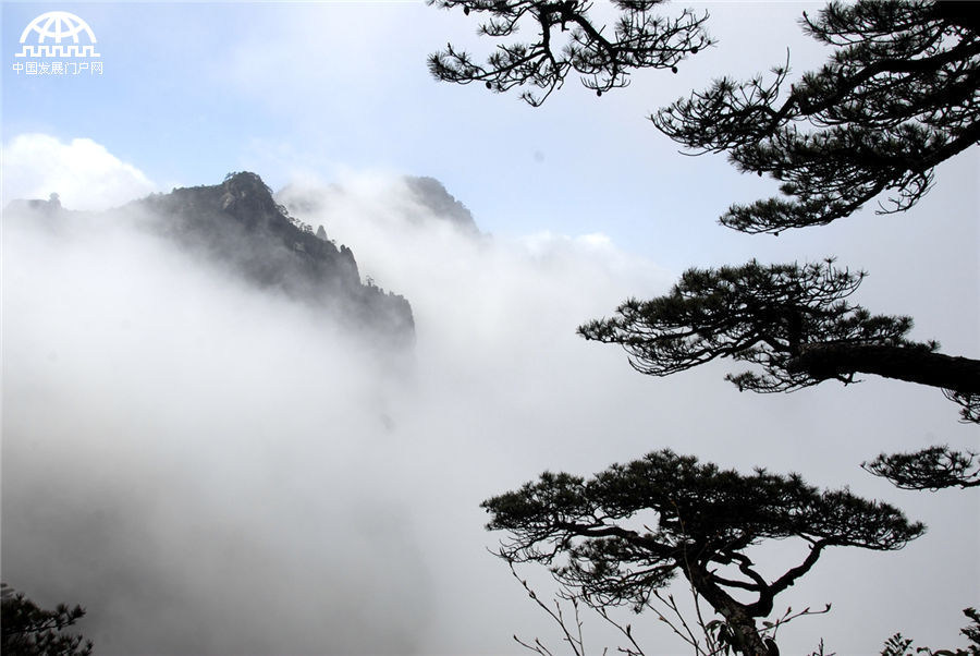 '五一'节后黄山现波澜壮阔大云海美景 震撼游人