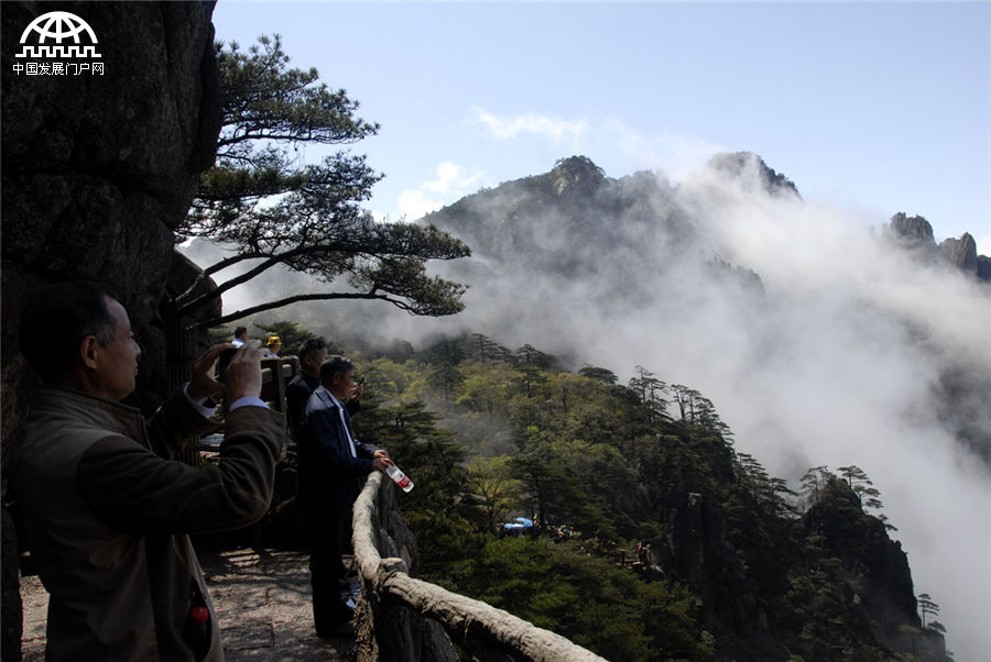 云想衣裳花想容 有云海的春天黄山更美