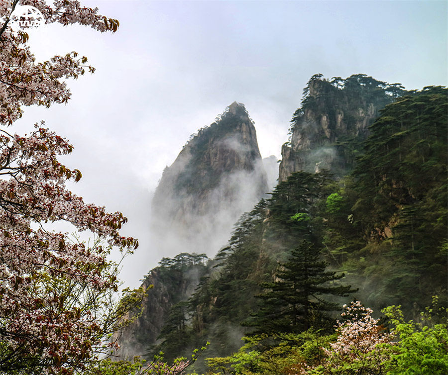 黄山:日出东方霞满天 变幻莫测是云烟